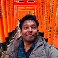 Krishna Rajput