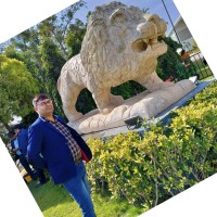 Ravi Shishodia