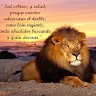 gilberth salazar g