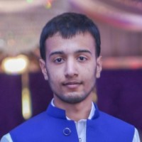 Anas Shahid