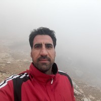 Sajad Hemati