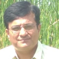 Vinay Surti