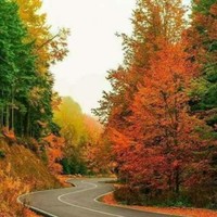 عبير سرحان