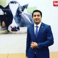 Usman Arshad