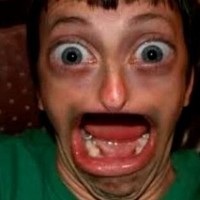 Stephan Matthews