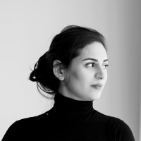 Vandreza Araujo Borsari