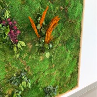 Artificial Gardens