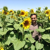 Mahmoud Elahdadi Salmani