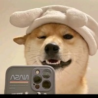 顾晨俊