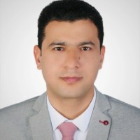 Ibrahim Ellaithy