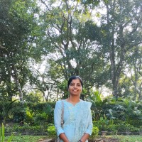 Rohini Rayavaram
