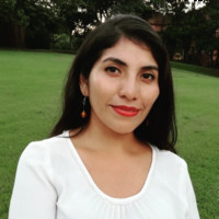 MARCELA DANIELA MOLLERICONA ALFARO