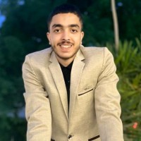 حسن المصرى