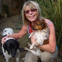 Sheryl Browne