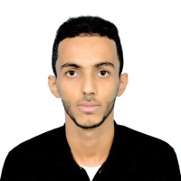 Aseel Mahmood