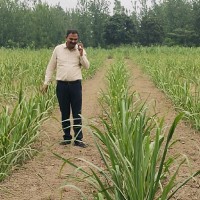 Sunil Balyan