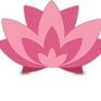 Lotus Enterprises
