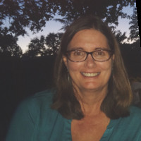 Lisa Saper