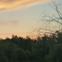 史亚军