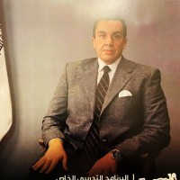 sayed shaarawy