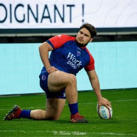Regis Montagne