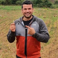 Fernando Santana