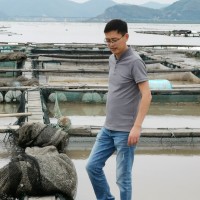 陈华杰