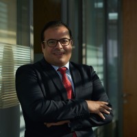 Ahmed Kamel Ali, CPA