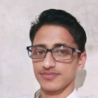Md Arif Ansari