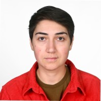 ani simonyan