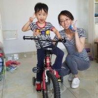 杨敬伟
