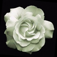 Eva Aparecida de Jesus