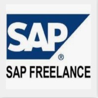 Remote Sap Consulting