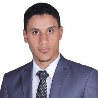 Hassan Abdelaaty