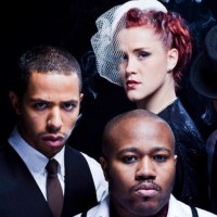 Birdgang Ltd Management