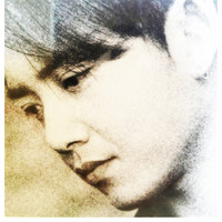 Steve Han