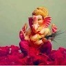 Dhana Prasanth