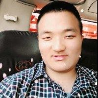 安丰龙