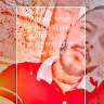 ربيع سيد