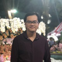Vu Binh
