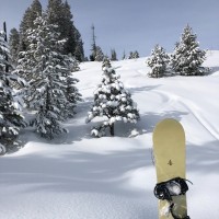Travis Mock