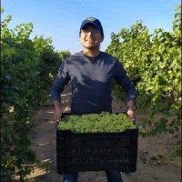 Leonardo Angel Matias Escalante