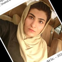 Hamideh Rafiee