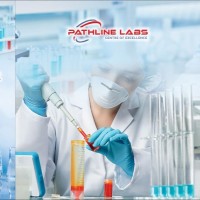 Pathline Labs