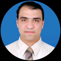 Mohamed Adel El-Bermawy Ccnp L Acfe L Pmp®L Pmi-Acp®L Itil®V4 L Rcdd®