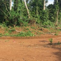 Stella ange Manfo wamba