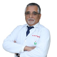 Dr Ravi K Arora