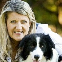 Ionaborda Border Collies