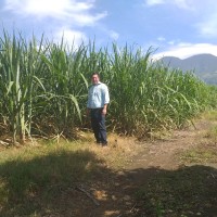 Felipe Ruiz