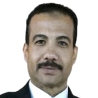 Wael Elshahed FRA Licensed Risk Manager